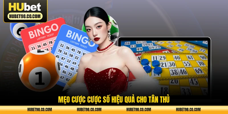 Mẹo cược cược số hiệu quả cho tân thủ