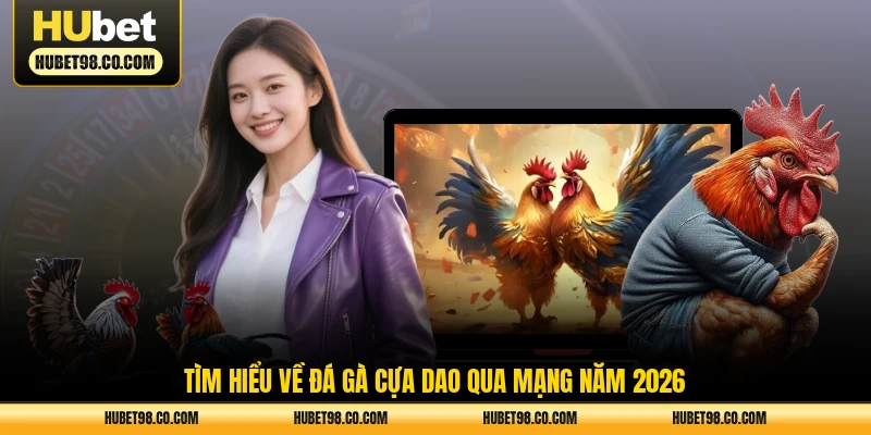 Tìm hiểu về đá gà cựa dao qua mạng năm 2026